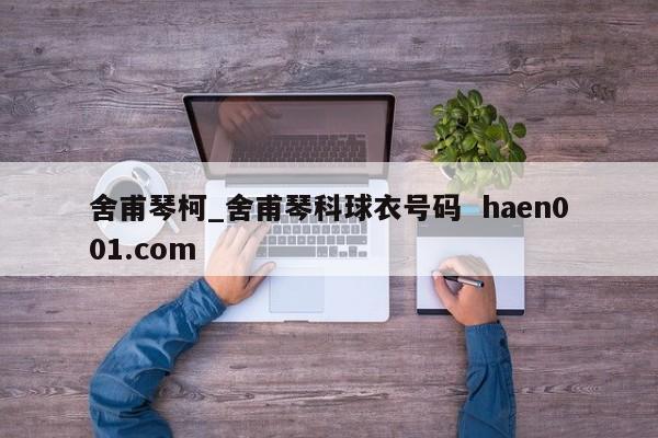 舍甫琴柯_舍甫琴科球衣号码  haen001.com